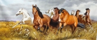 Масти лошадей на хакасском языке
